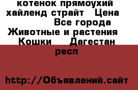 котенок прямоухий  хайленд страйт › Цена ­ 10 000 - Все города Животные и растения » Кошки   . Дагестан респ.